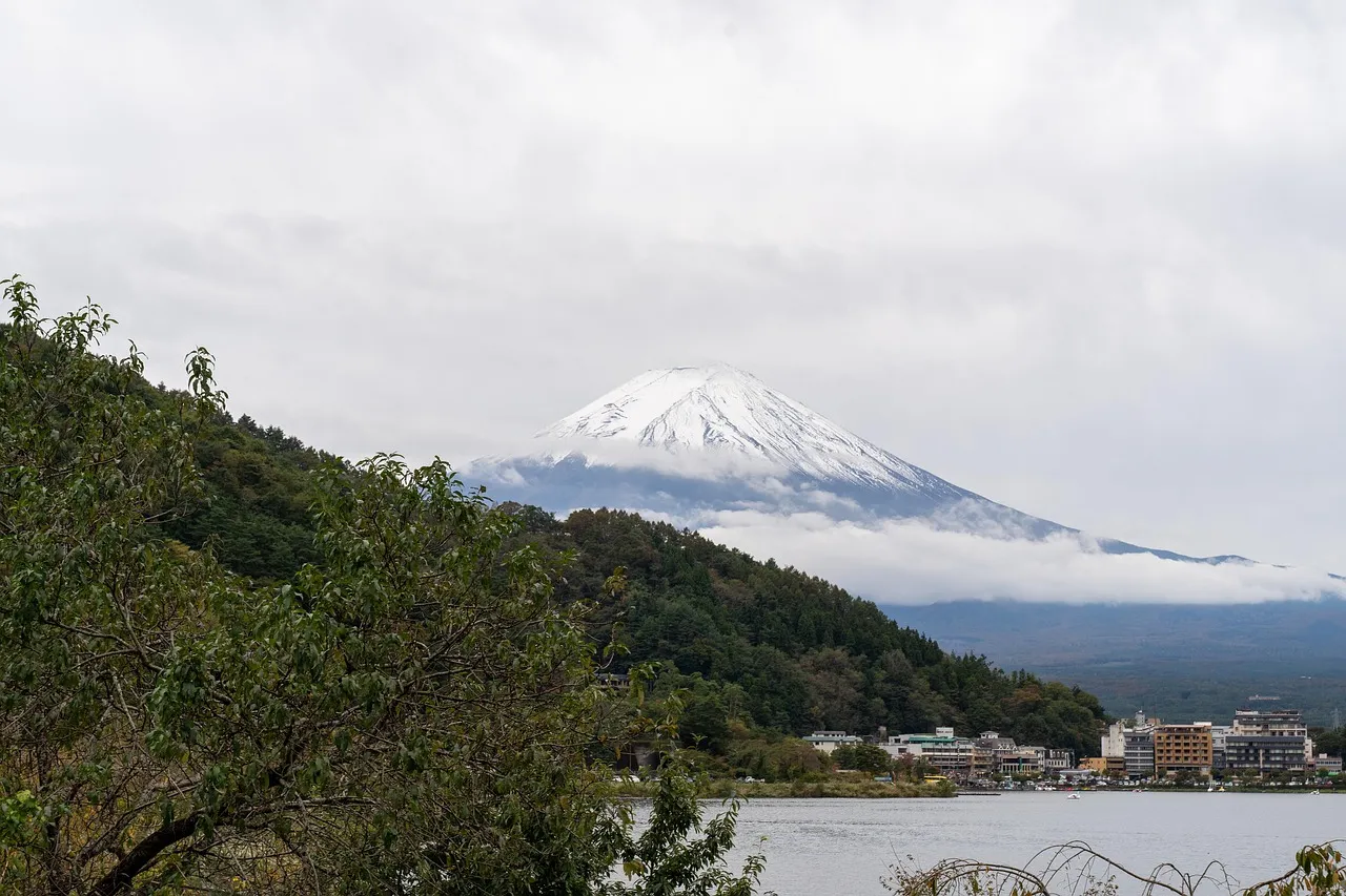 10 Fun Things To Do In Tokyo