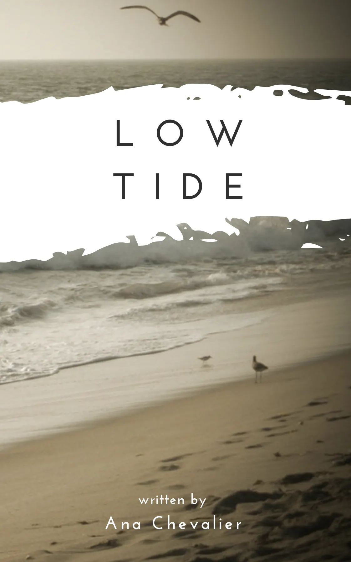 Ana Chevalier has authored Low Tide
